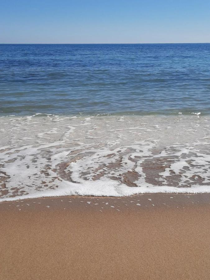 Студия На Белоснежном Пляже Los Locos Torrevieja Exteriér fotografie